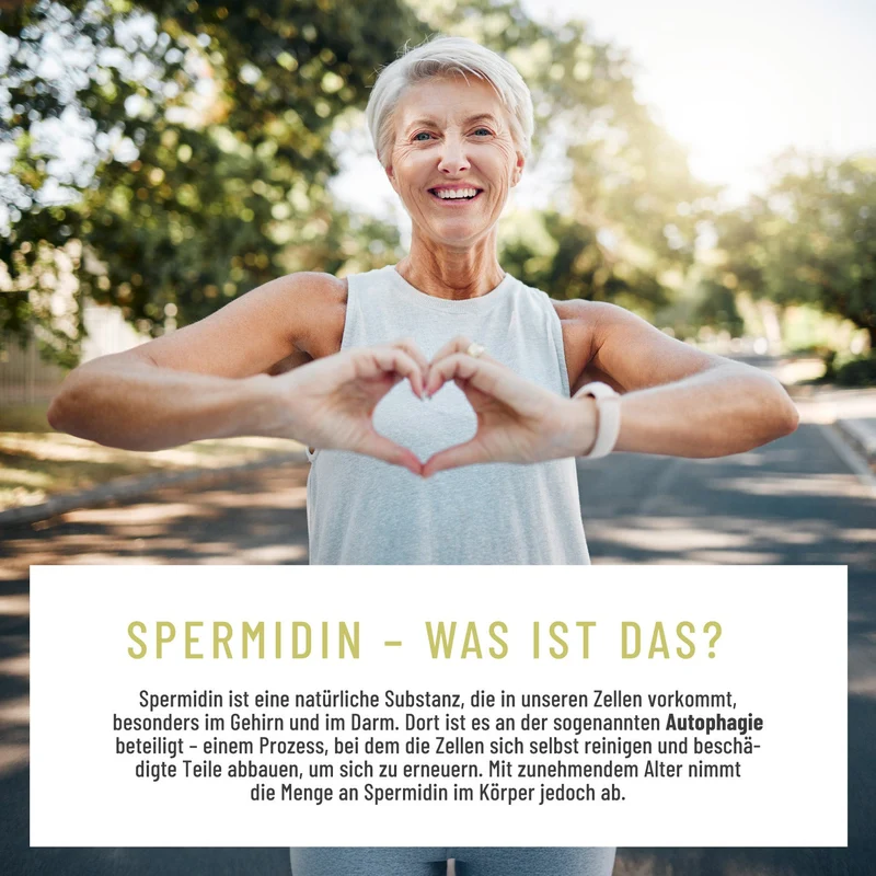 Jungzauber: Spermidin-Komplex