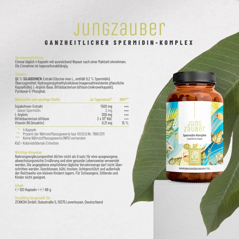 Jungzauber: Spermidin-Komplex