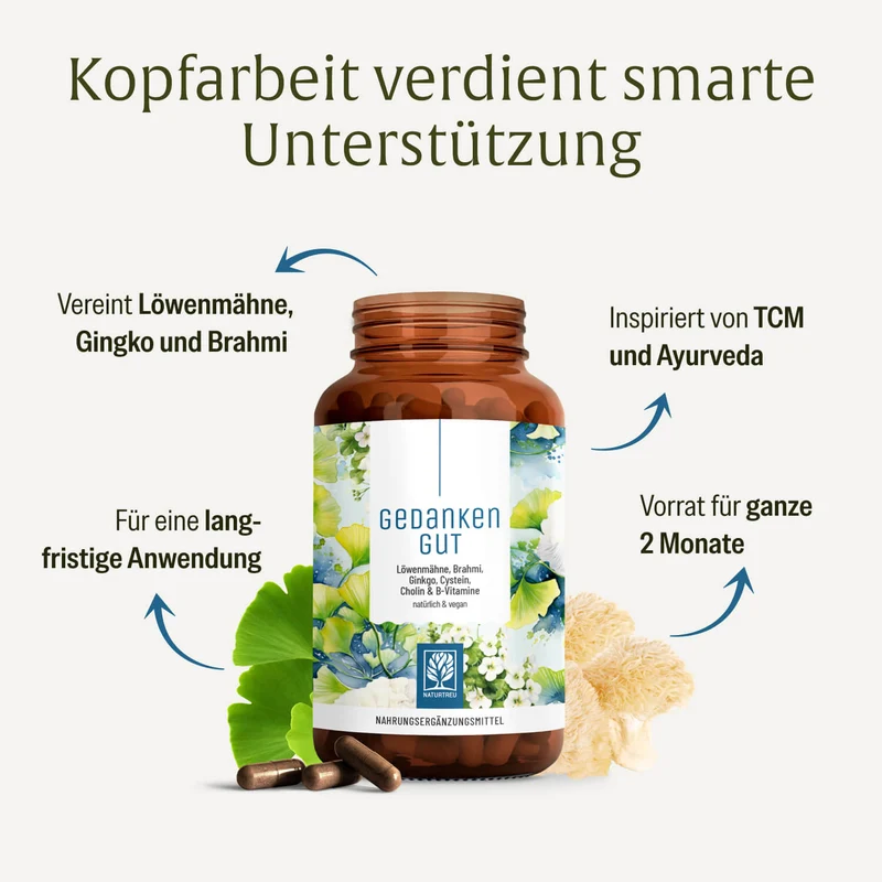 Gedankengut: Löwenmähne, Brahmi, Ginkgo, Cystein, Cholin & B-Vitamine