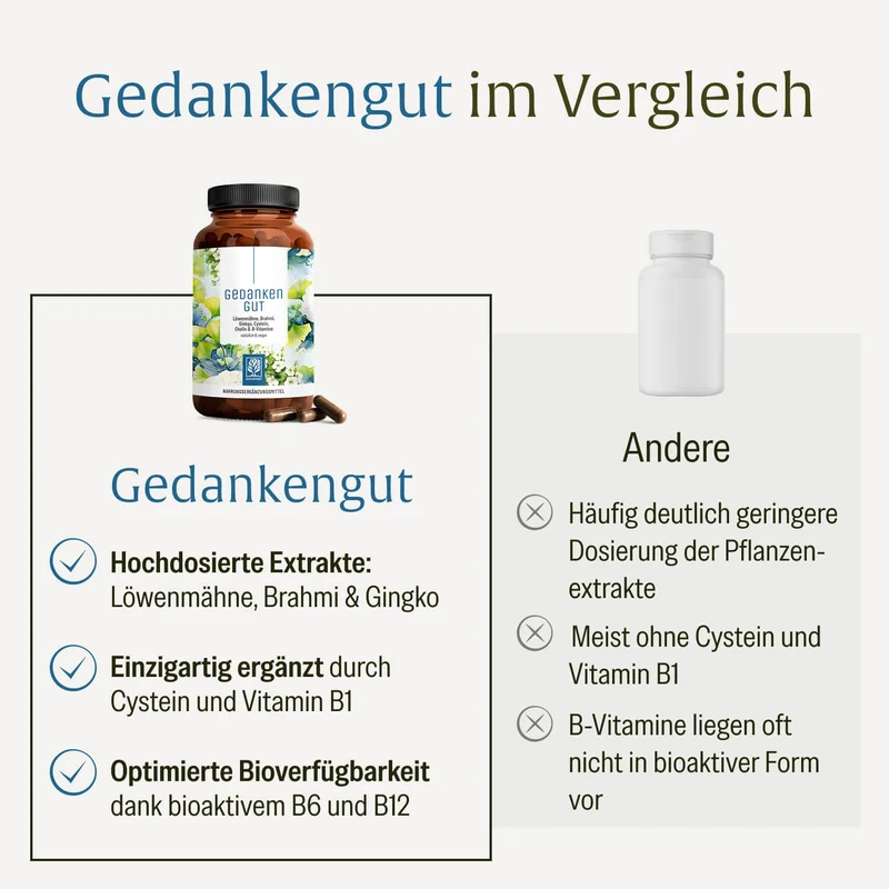 Gedankengut: Löwenmähne, Brahmi, Ginkgo, Cystein, Cholin & B-Vitamine