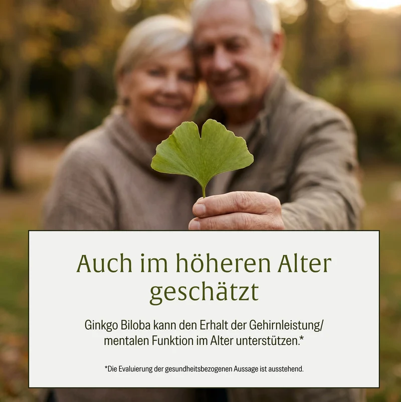 Gedankengut: Löwenmähne, Brahmi, Ginkgo, Cystein, Cholin & B-Vitamine