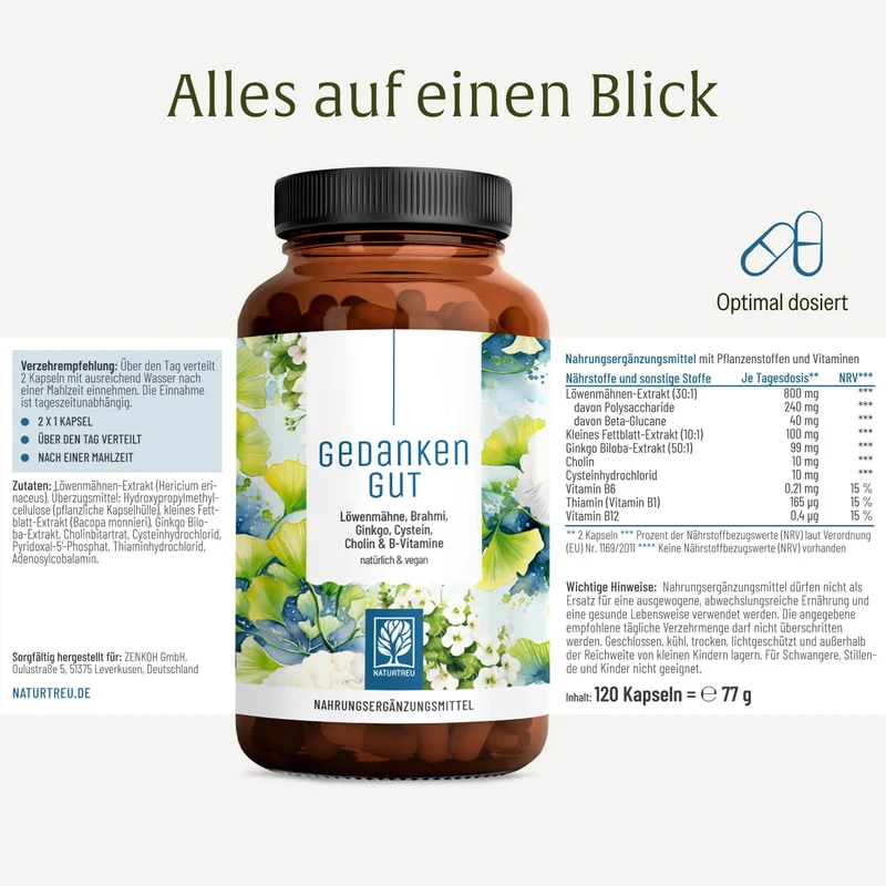 Gedankengut: Löwenmähne, Brahmi, Ginkgo, Cystein, Cholin & B-Vitamine