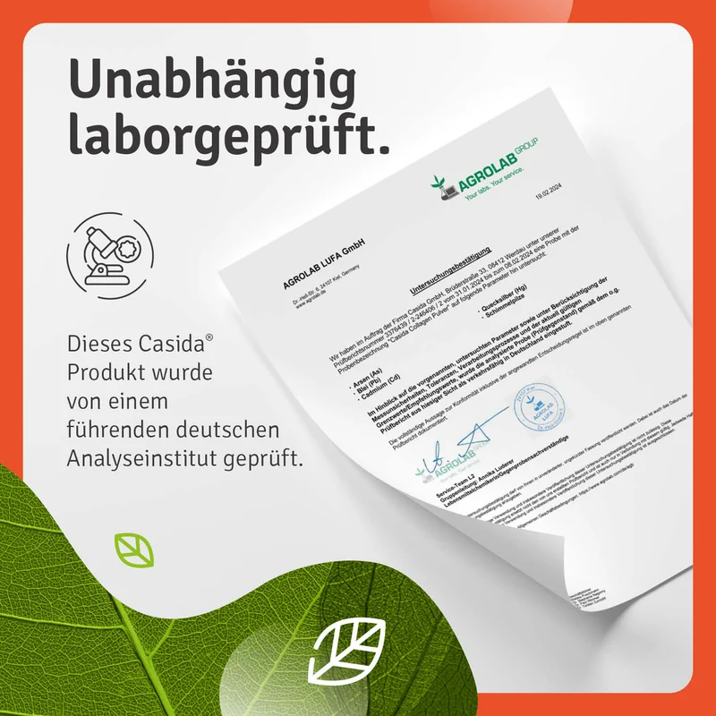 Collagen Pulver - Kollagen Hydrolysat