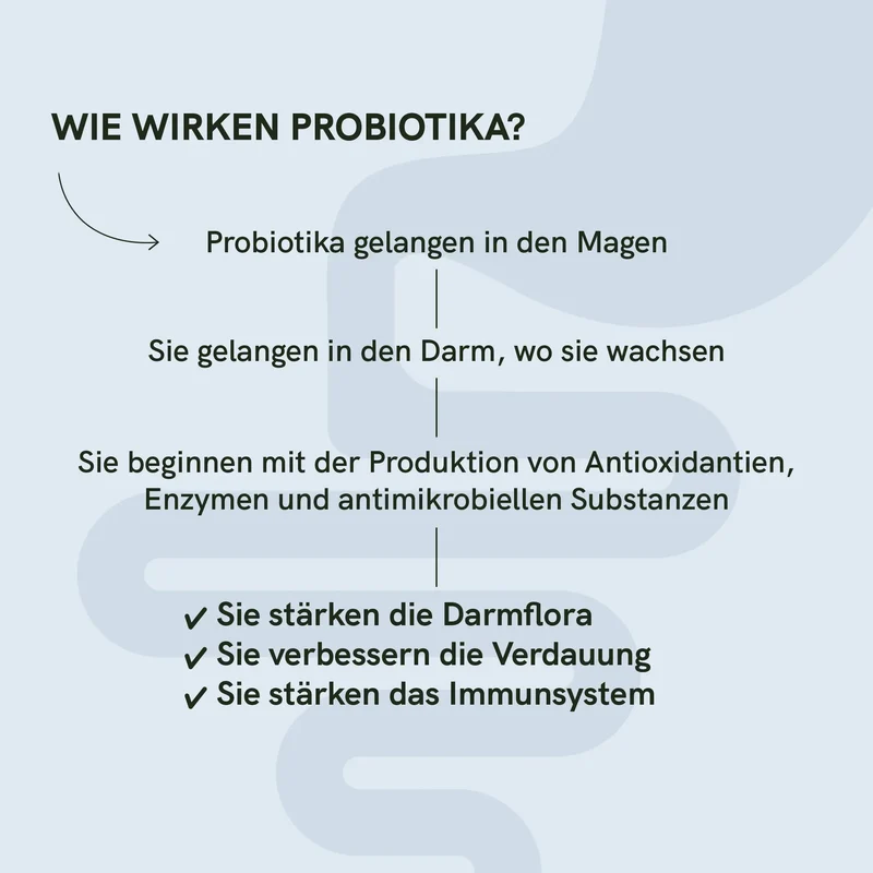 Probiotika