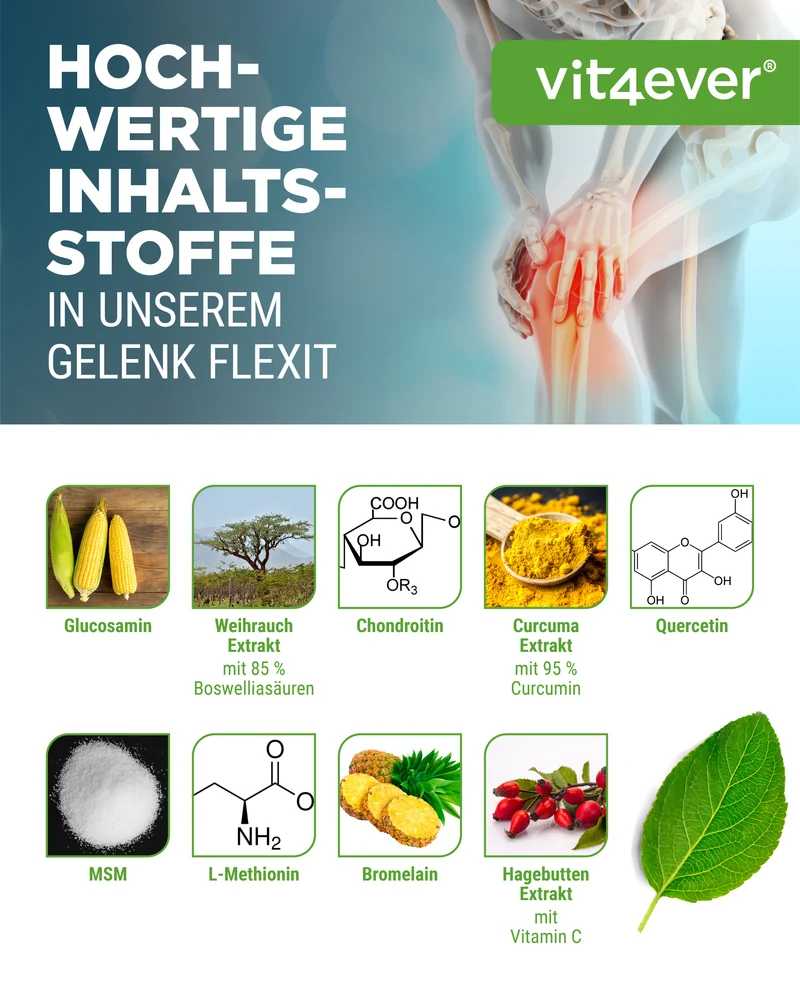 Gelenk Flexit - 9 Wirkstoffe