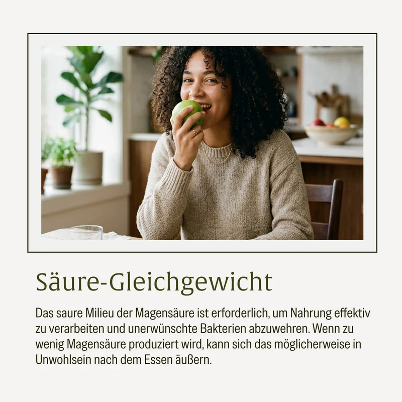 Magenbalance: Betain HCI-Komplex mit Pepsin & Kamille