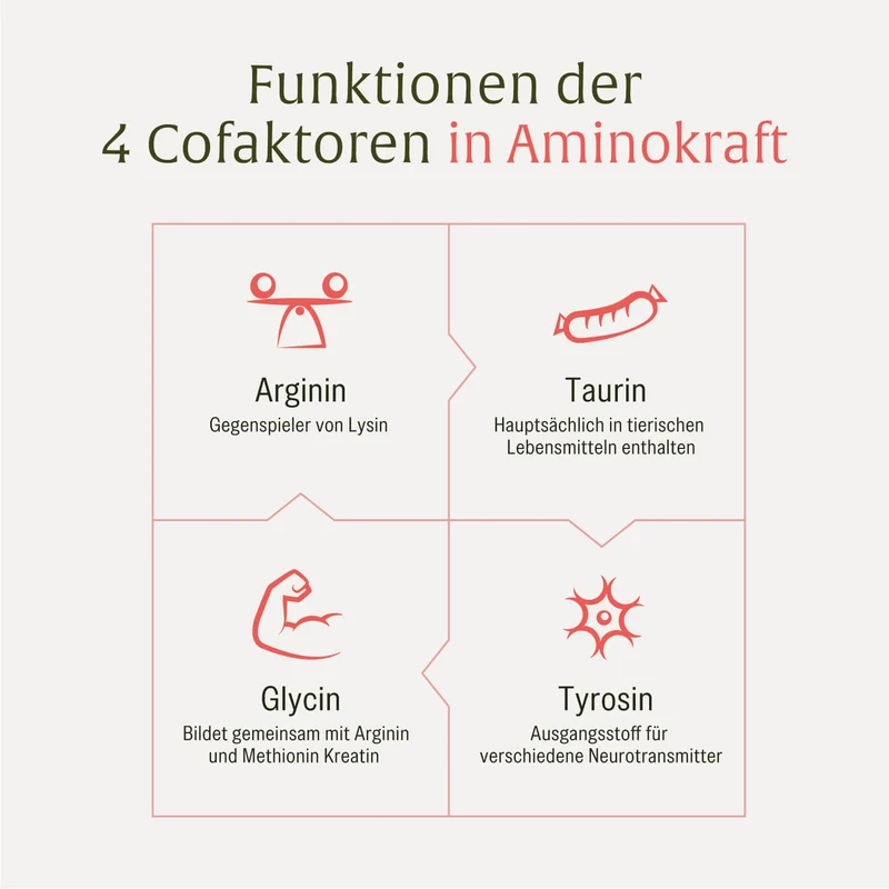 Aminokraft: Aminosäuren-Komplex