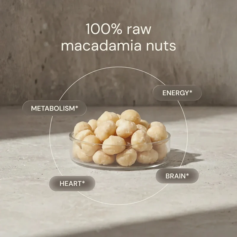 Raw Macadamia | Bryan Johnson