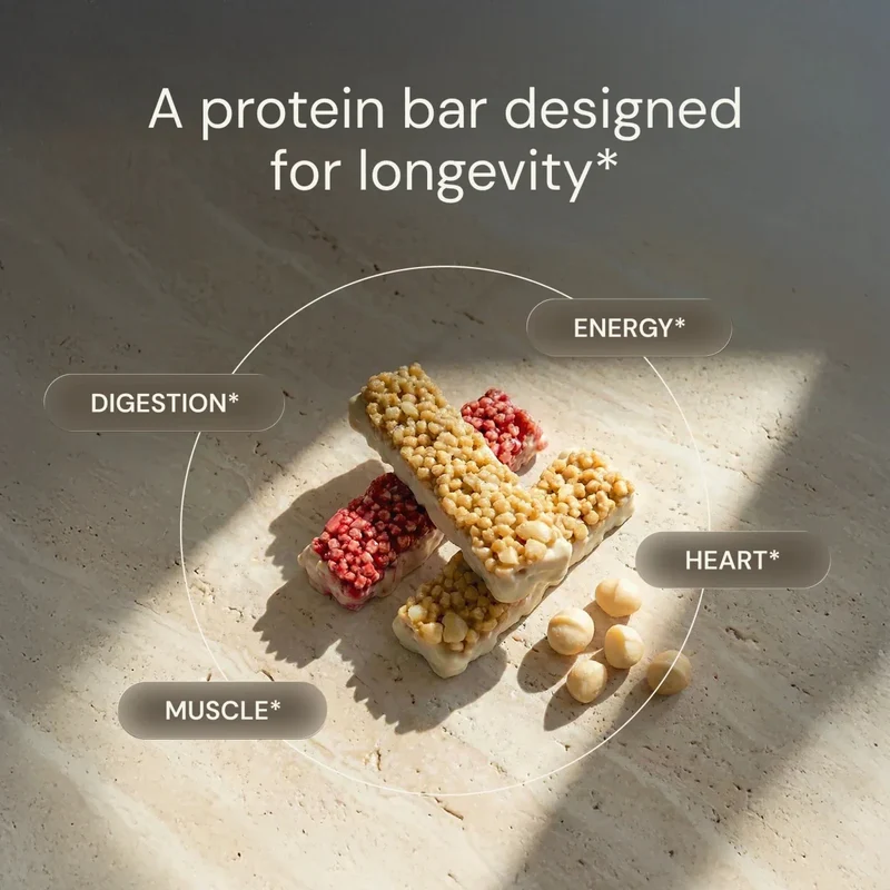 Macadamia Protein Riegel | Bryan Johnson