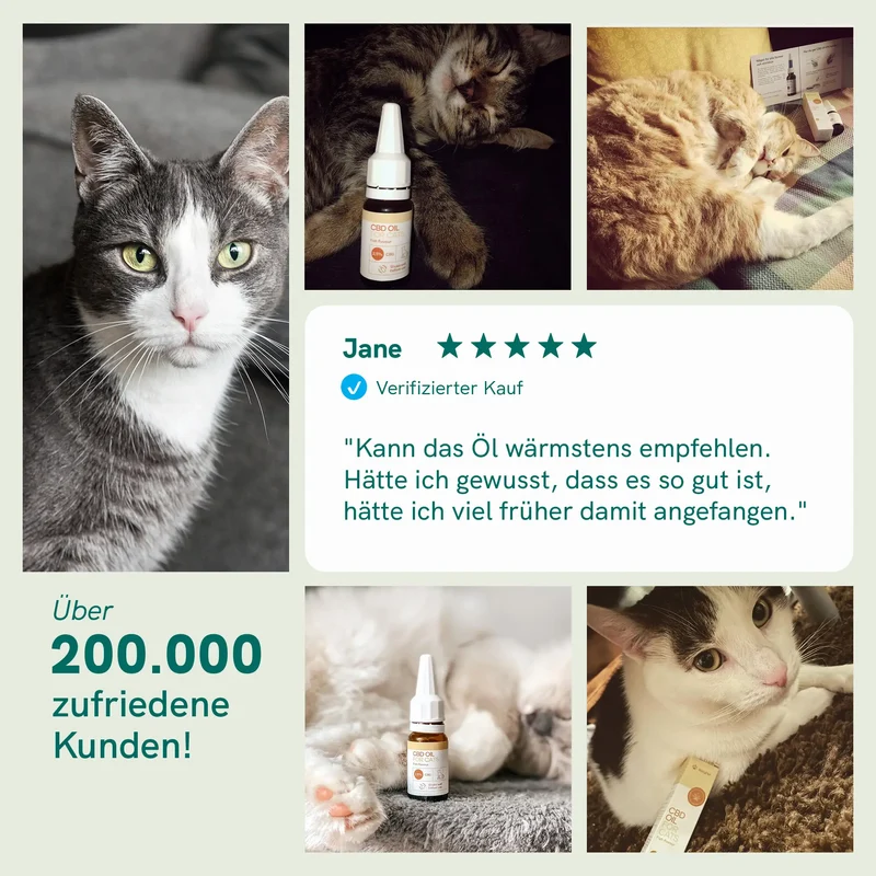 CBD Öl für Katzen (2,5%) Fisch