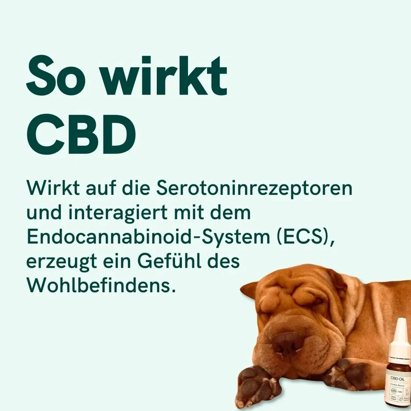 Natur-Öl für Hunde