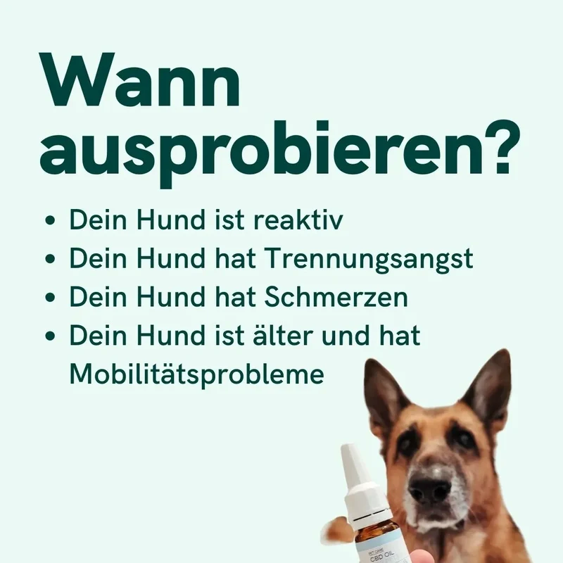 Natur-Öl für Hunde