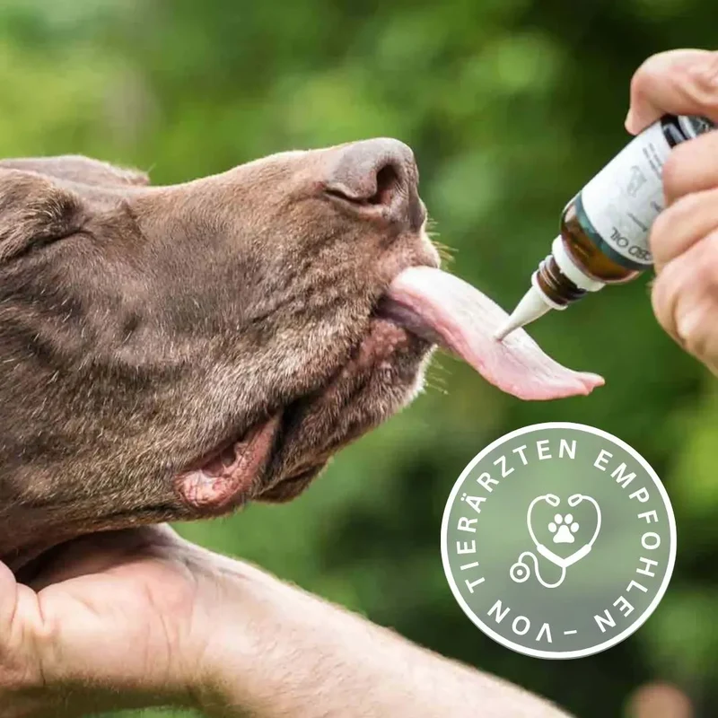 Natur-Öl für Hunde
