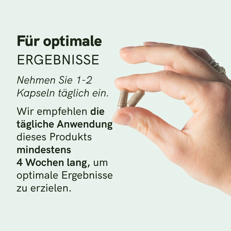 Eisen & Vitamin C Kapseln