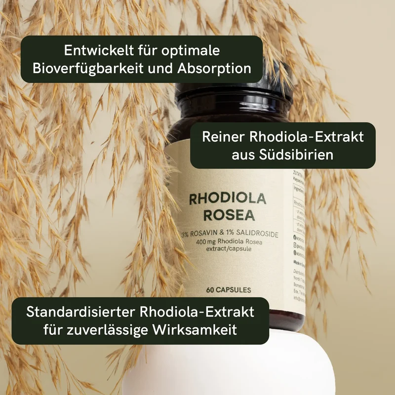 Rhodiola Rosea Extrakt Kapseln