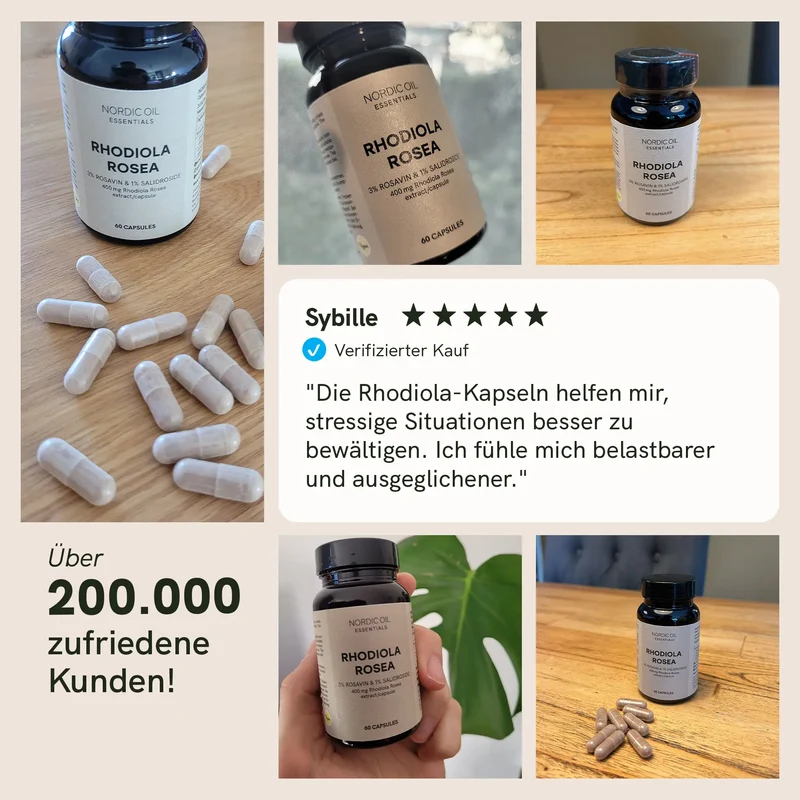 Rhodiola Rosea Extrakt Kapseln