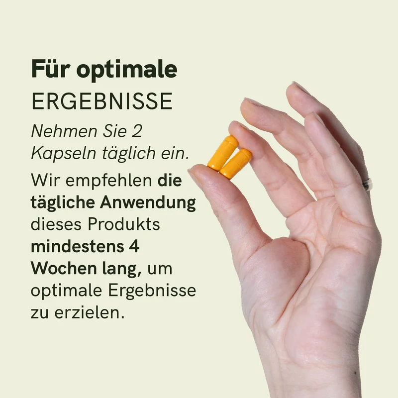 Curcumin Kapseln