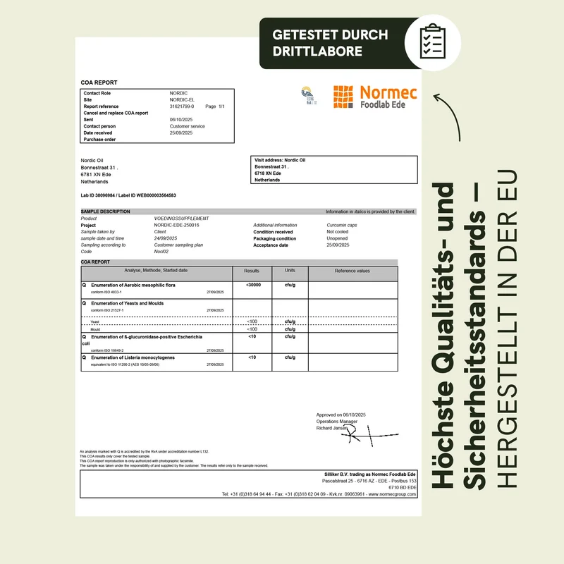 Curcumin Kapseln