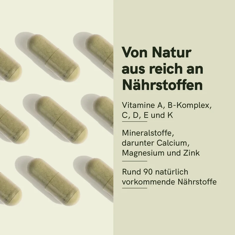 Moringa-Pulver-Kapseln