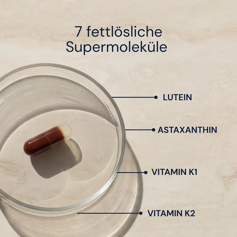 Advanced Antioxidants | Bryan Johnson