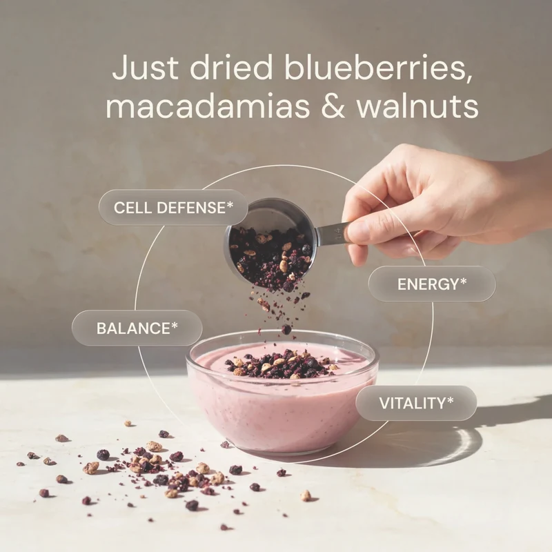 Blueberry Nut Mix | Bryan Johnson