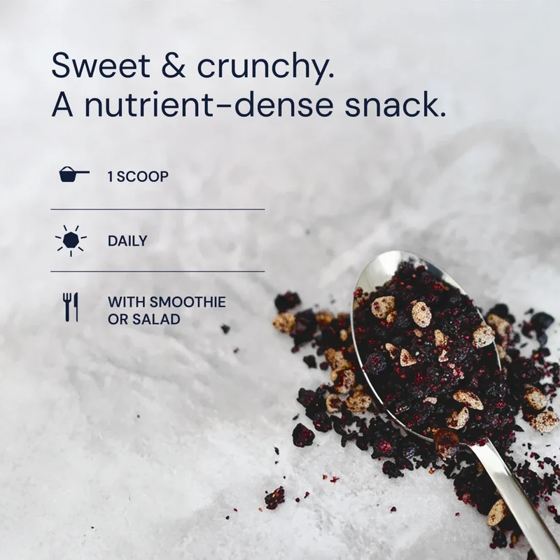 Blueberry Nut Mix | Bryan Johnson