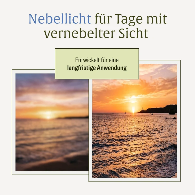 Nebellicht: Mutterkraut Kapseln mit Magnesium, Ingwer & Q10