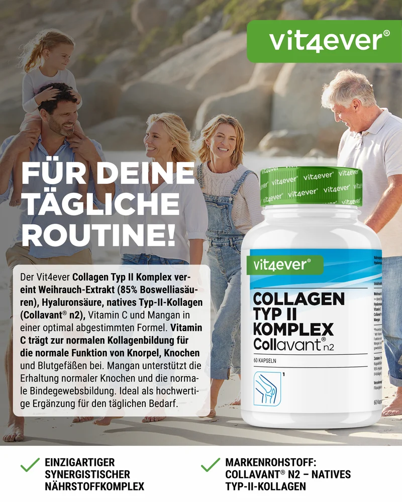 Kollagen Typ 2 Komplex