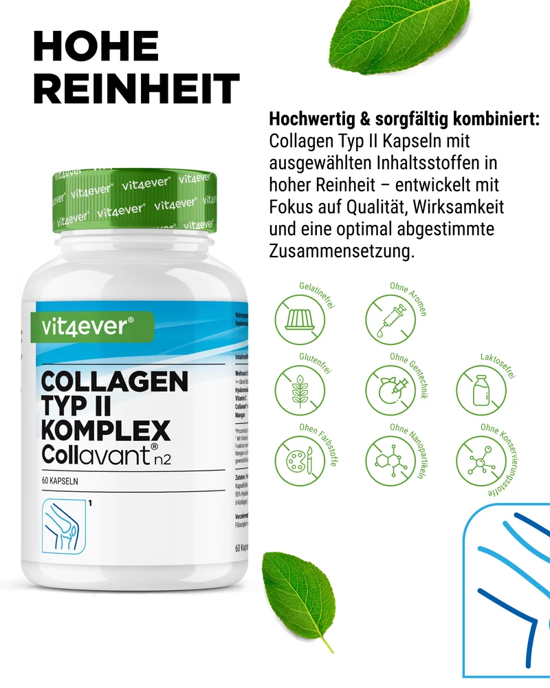 Kollagen Typ 2 Komplex