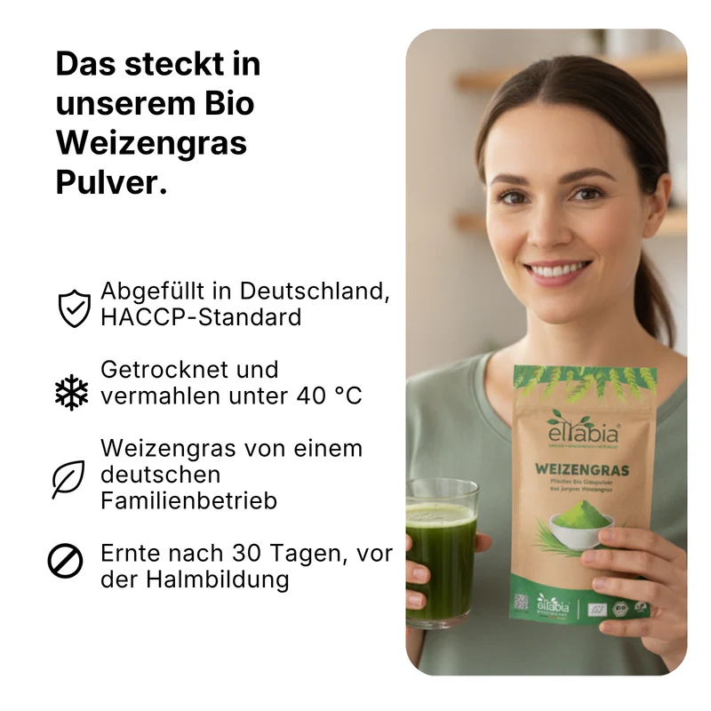 Weizengras Pulver