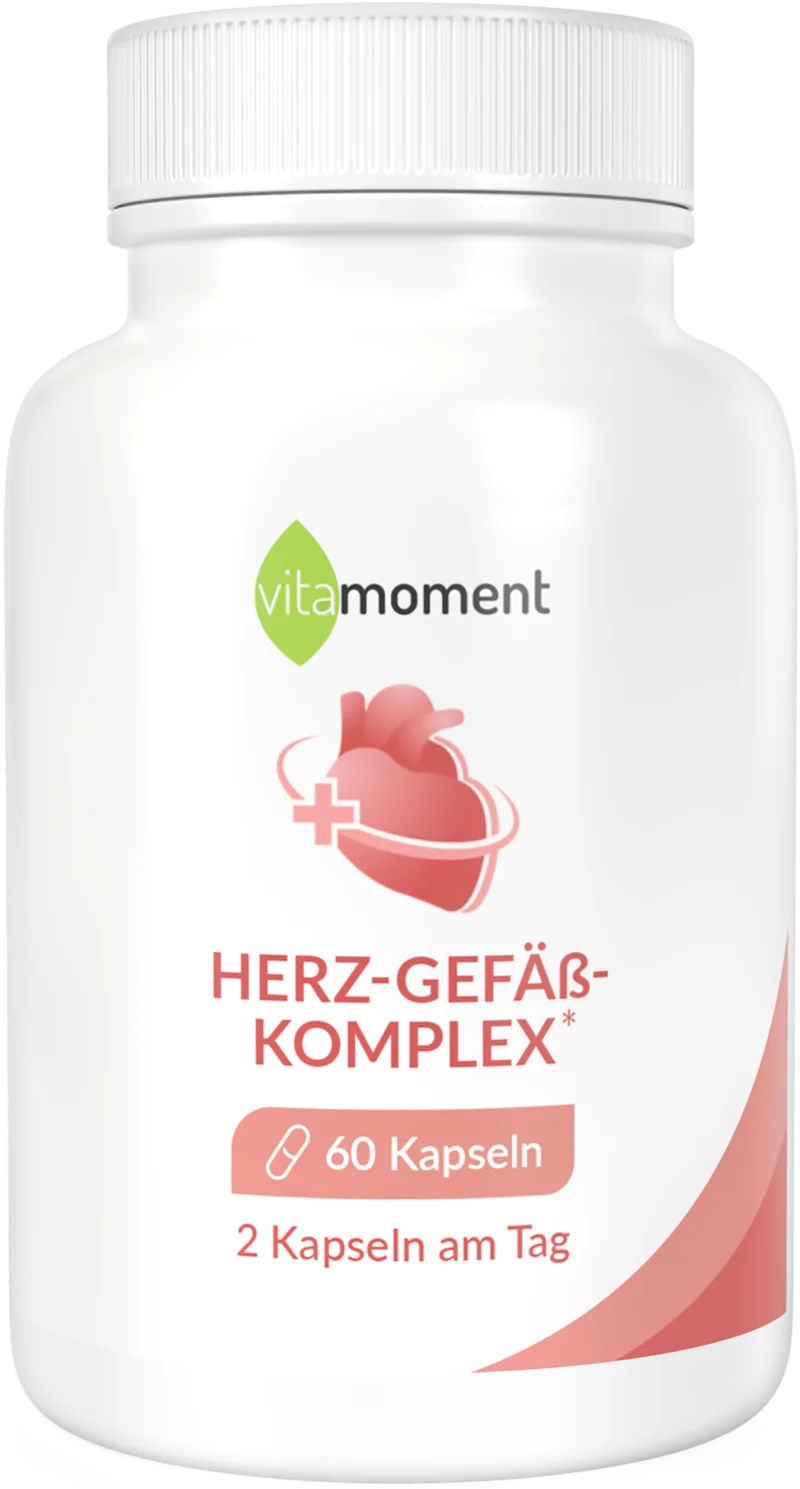 Herz-Gefäß-Komplex