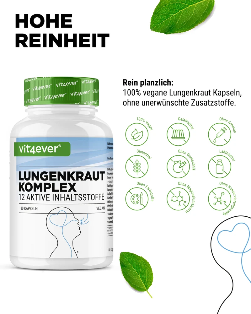 Lungen Komplex