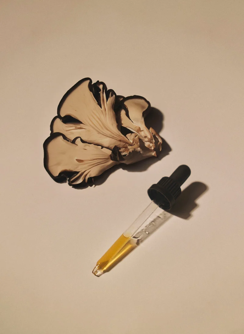 Maitake Extrakt