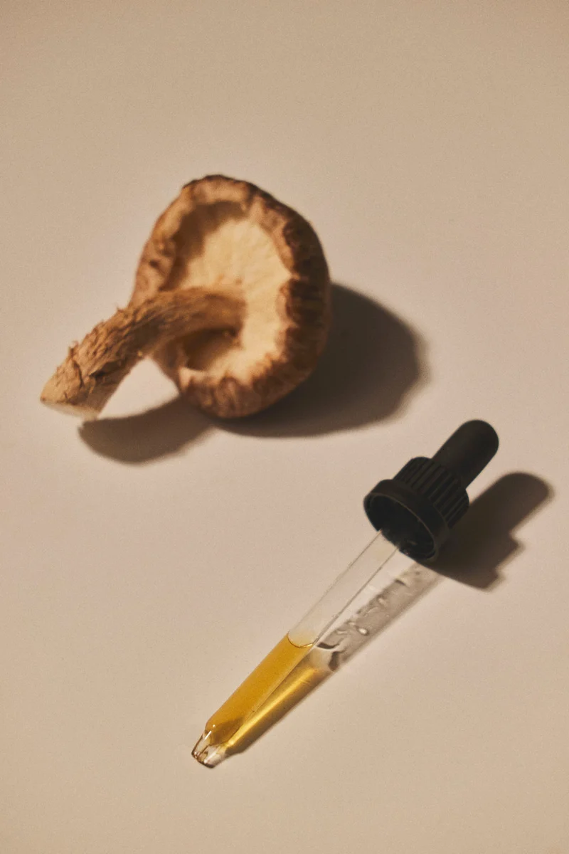 Shiitake Extrakt