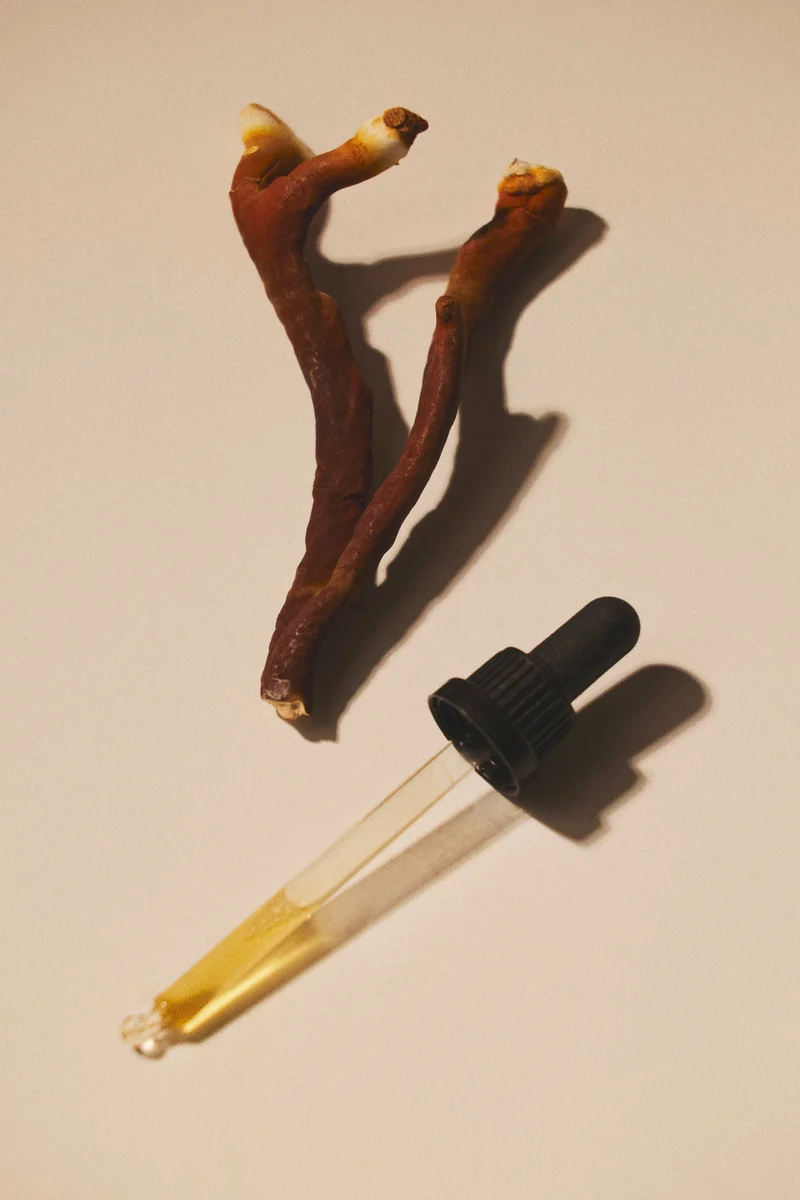 Reishi Extrakt
