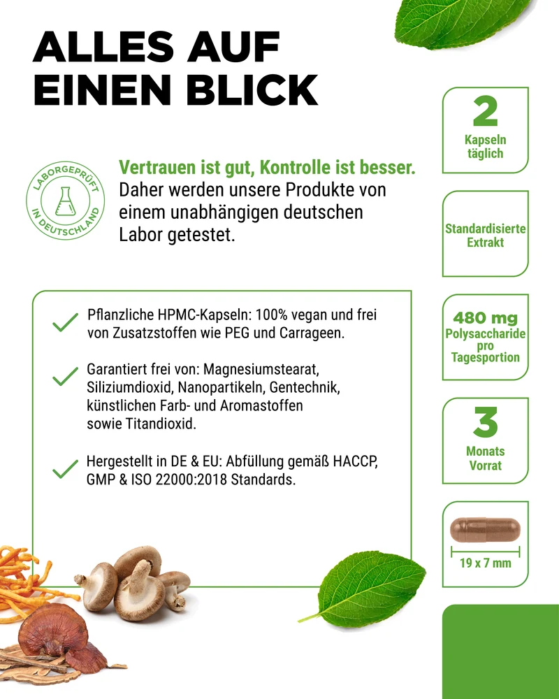 Pilz Komplex