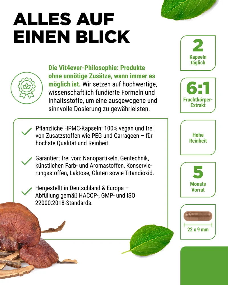 Reishi Intenso Pilz - 650 mg Extrakt - 40% bioaktive Polysaccharide