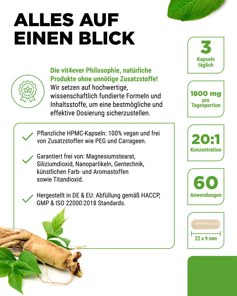 Roter Panax Ginseng