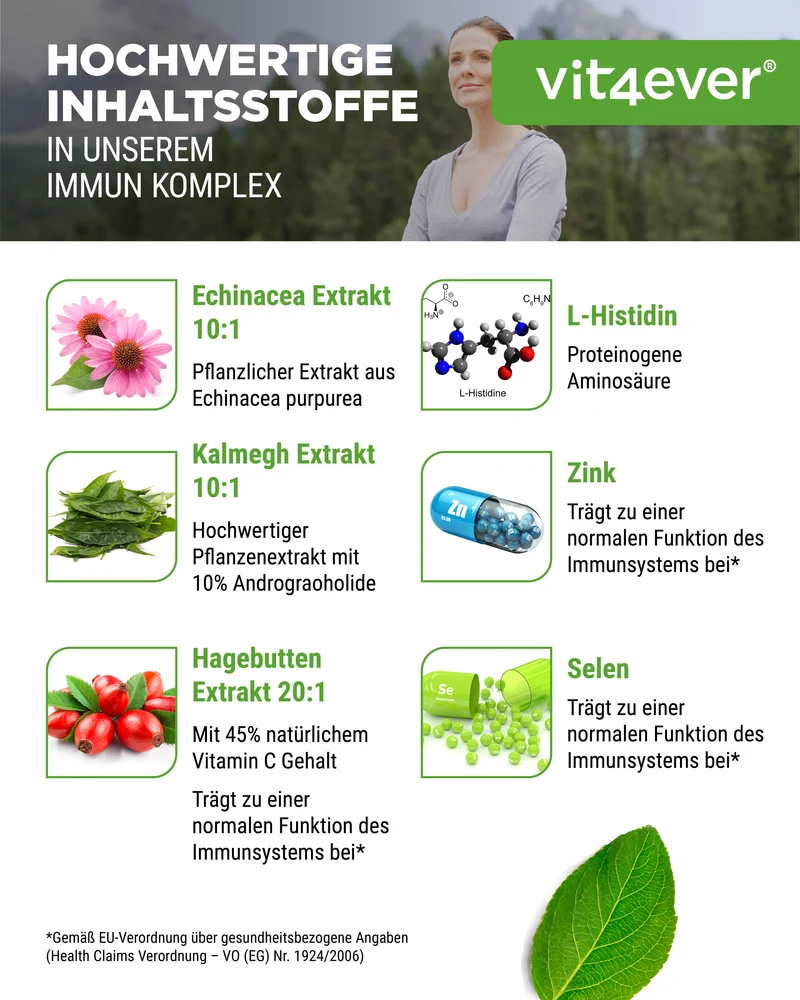 Immun Komplex