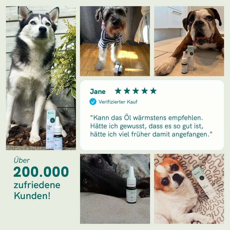 3er-Pack: CBD Öl für Hunde - Rind (4%)