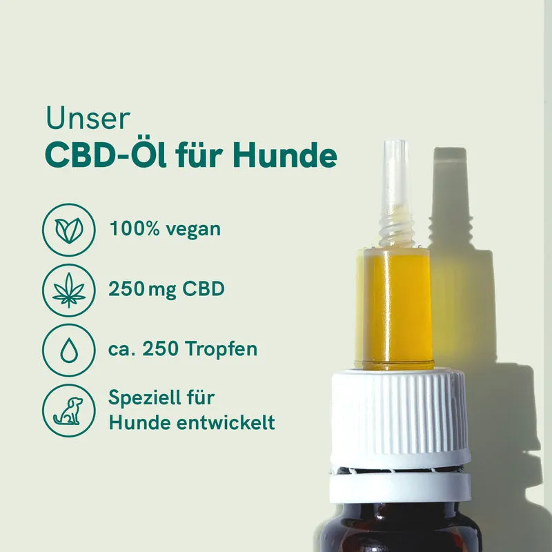 CBD Öl für Hunde - Rind (2,5%)