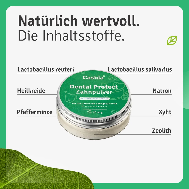 Dental Protect Zahnpulver - B2B
