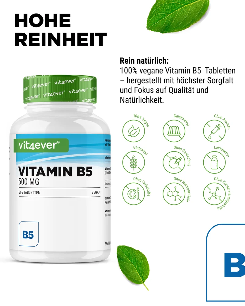 Vitamin B5 Pantothensäure 500 mg
