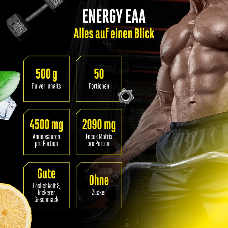 EAA Energy Mix