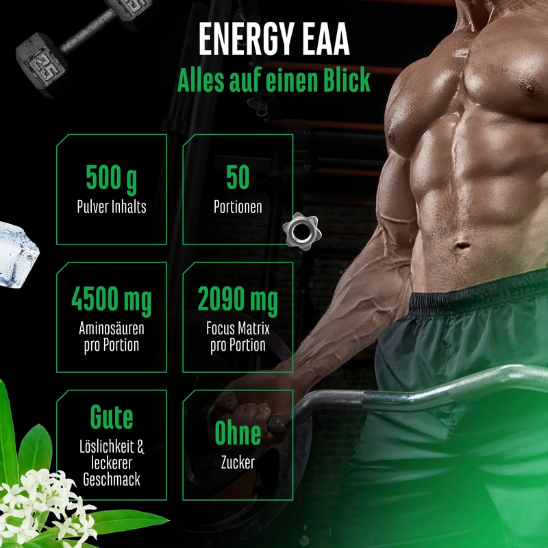 EAA Energy Mix