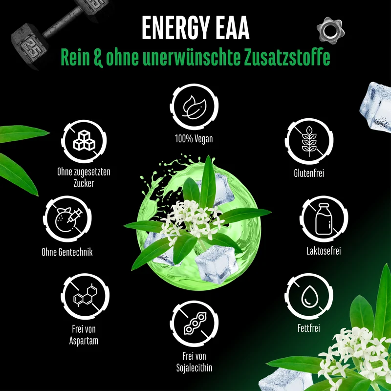 EAA Energy Mix