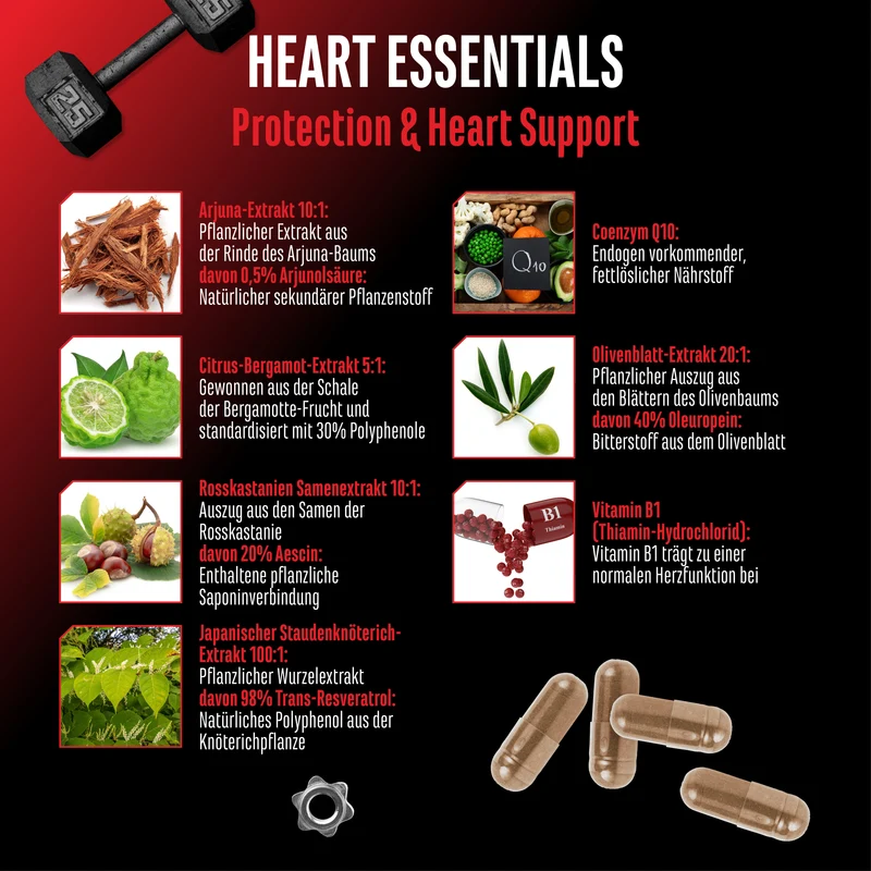 Heart Essentials