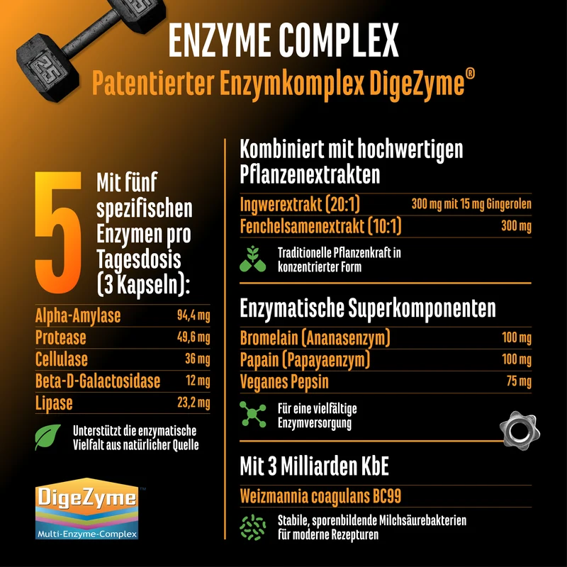 Enzym Komplex