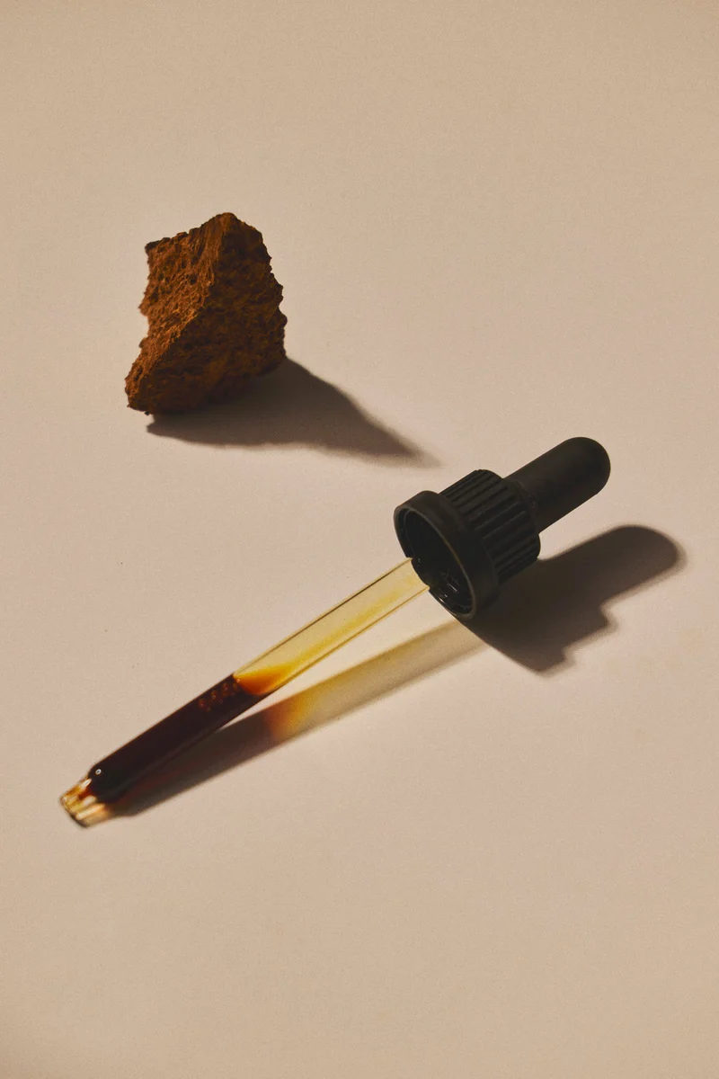Chaga Extrakt
