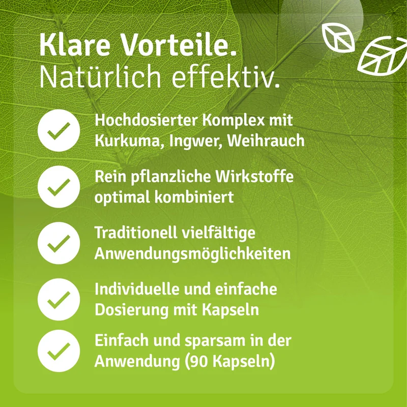 Kurkuma – Ingwer – Weihrauch Kapseln - B2B